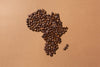 Elevating Coffee with Purpose: ZimKaffee and Coffee Annan's Transformative Partnership